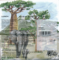 Napkin - Baobab Scenery - 20 tissue napkin pack