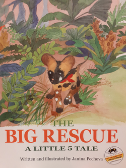 The Big Rescue: A Little 5 Tale by Janina Pechova