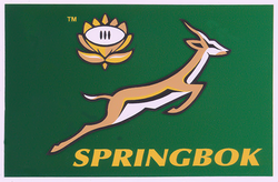 Springbok Sticker